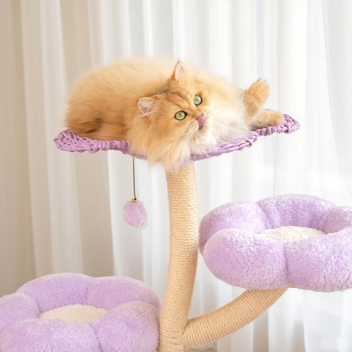 Pet Supplies